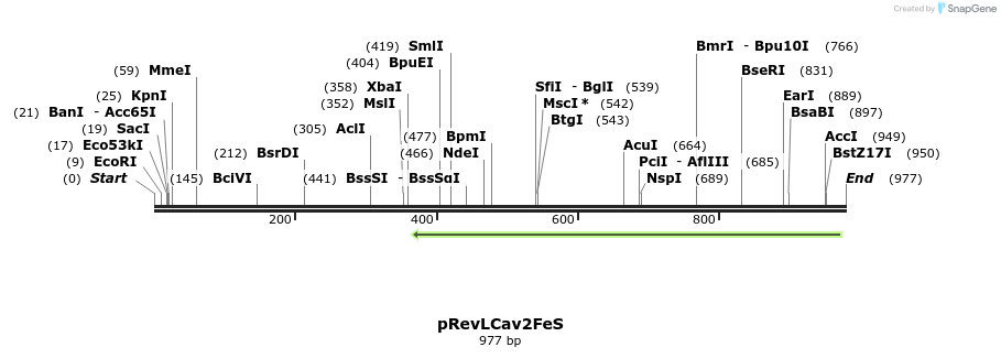 102371_map