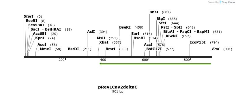 102377_map