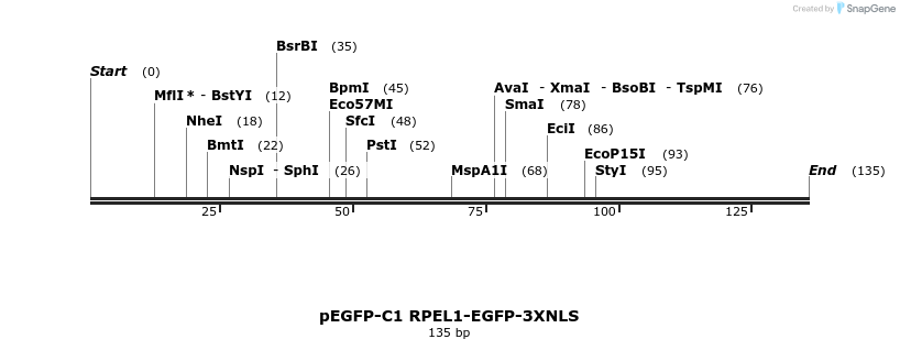 102379_map