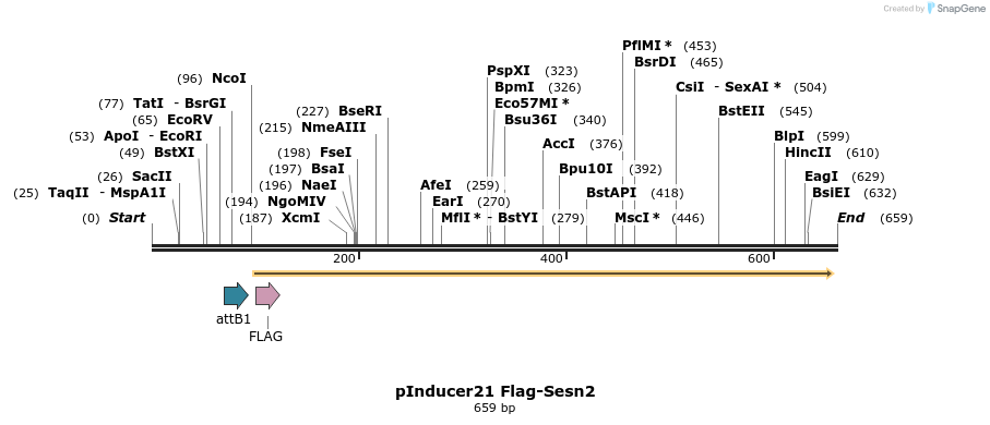 102380_map