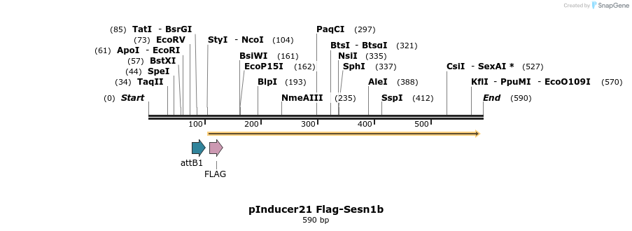 102384_map