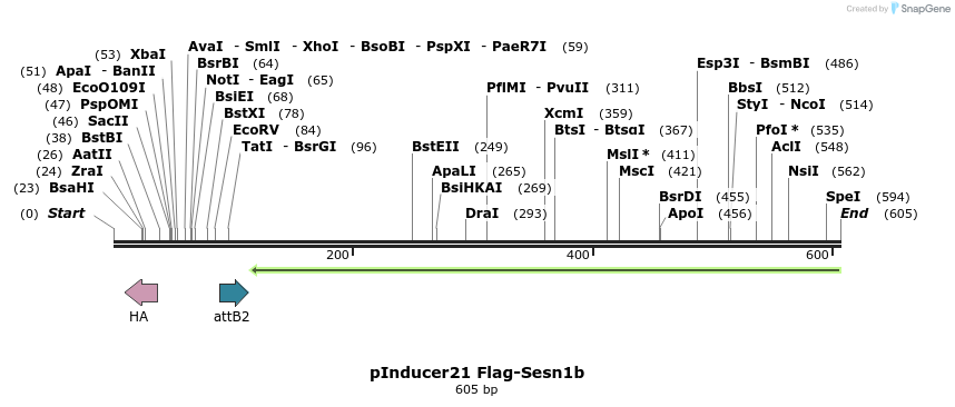 102385_map