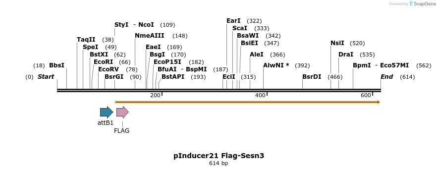 102386_map