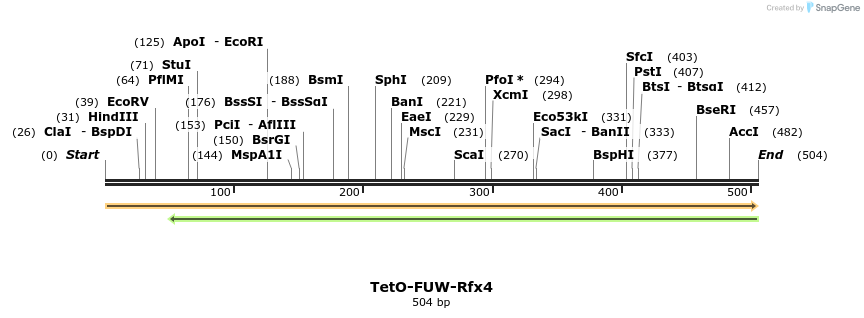 102390_map