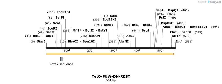 102393_map