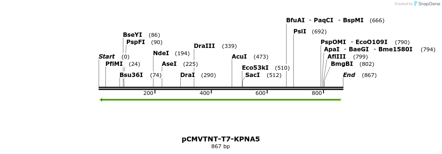 102397_map