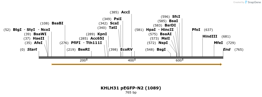 102398_map