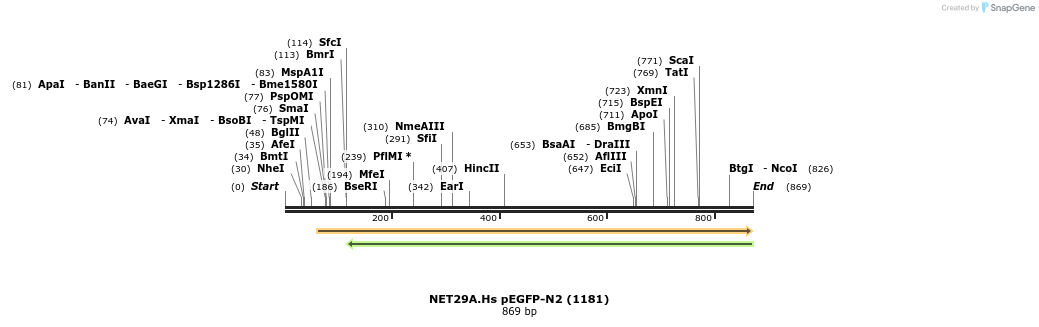 102405_map