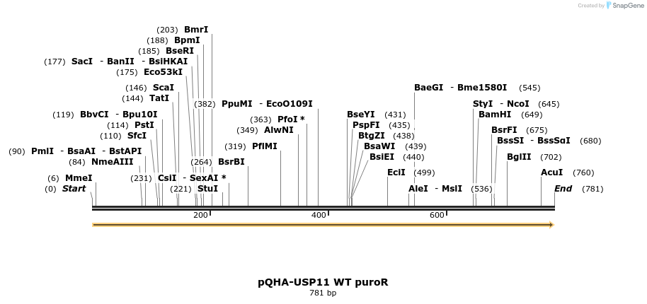 102412_map