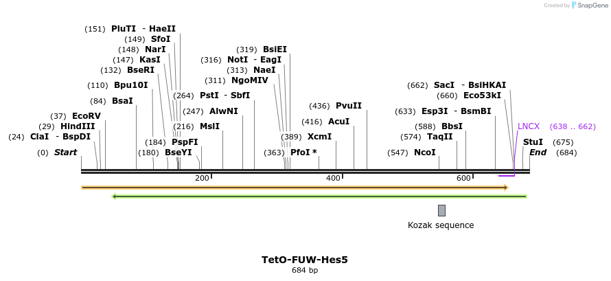 102416_map