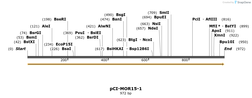 10242_map