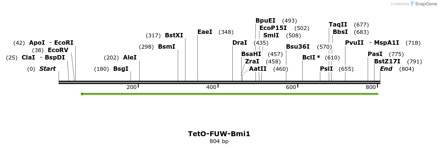 102434_map