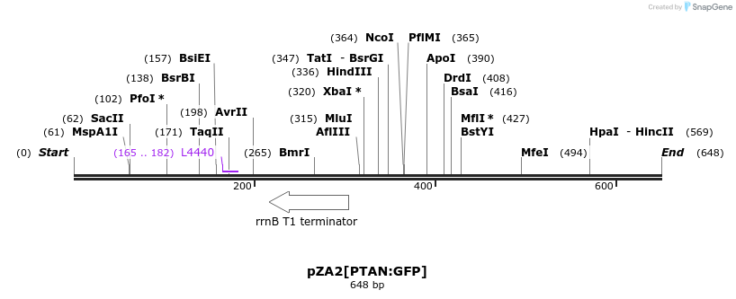 102435_map