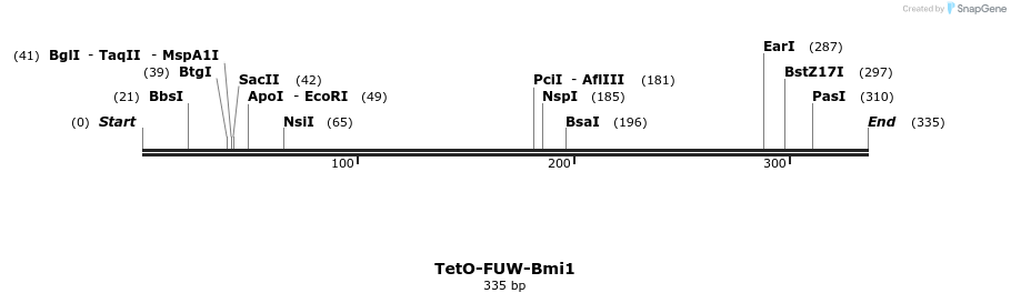 102436_map