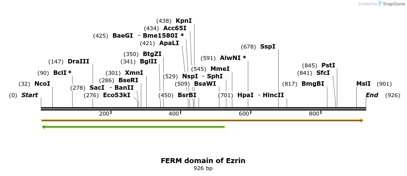 102441_map
