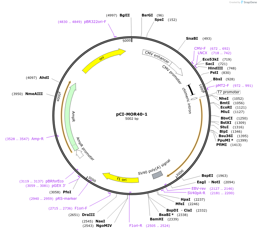 10250_map