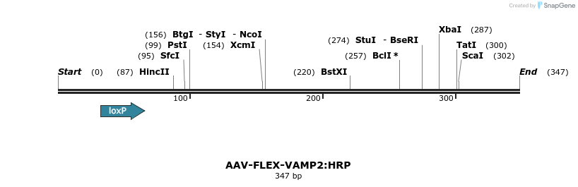 102515_map