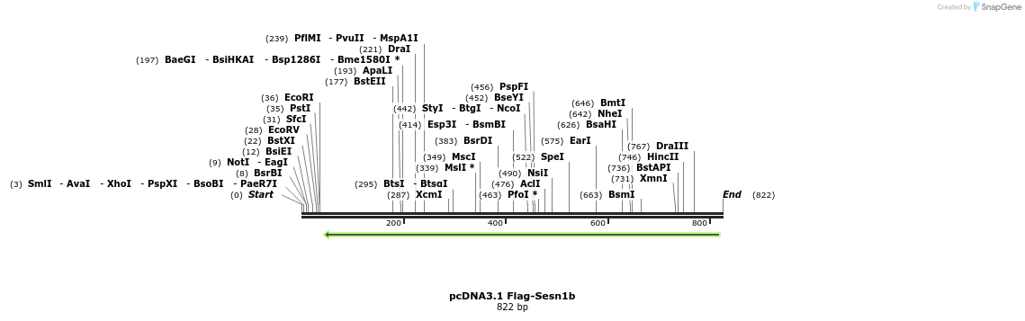 102519_map