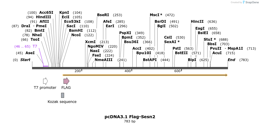 102520_map