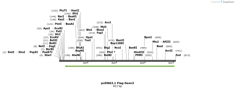 102525_map