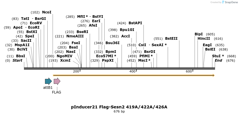 102529_map