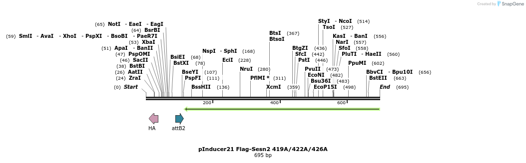 102531_map