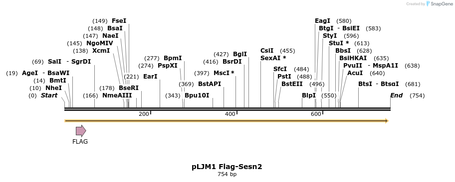 102532_map