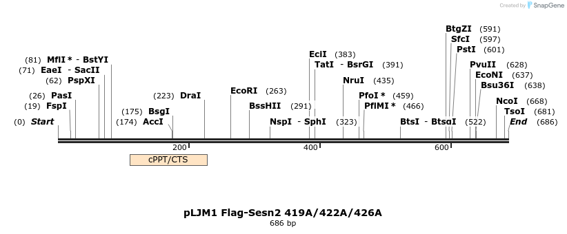 102535_map