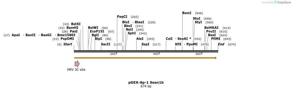 102556_map