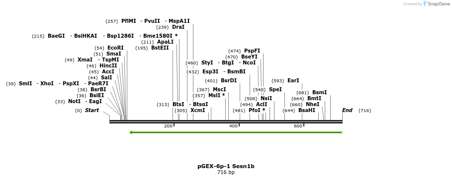102557_map