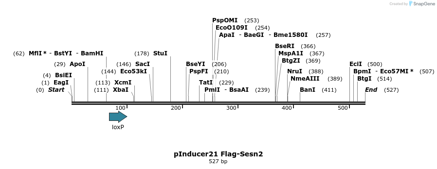 102559_map