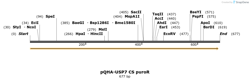 102562_map