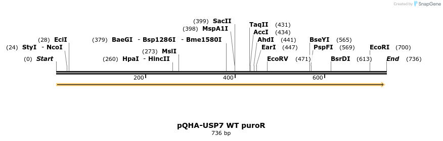 102564_map