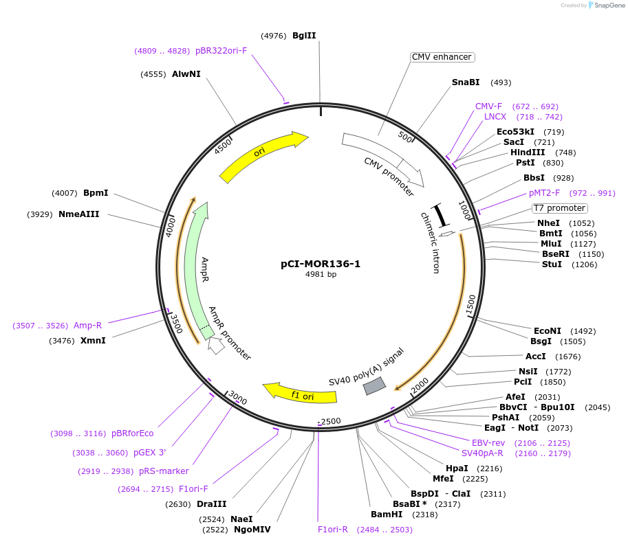 10257_map