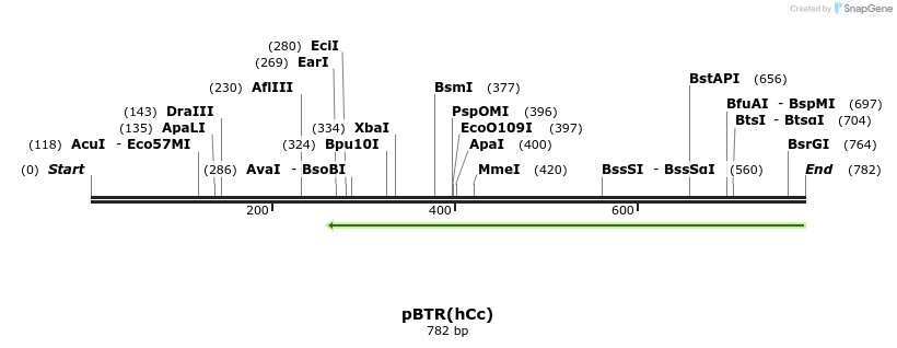 102574_map