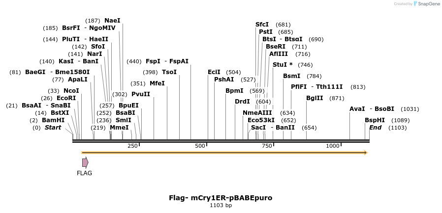 102580_map