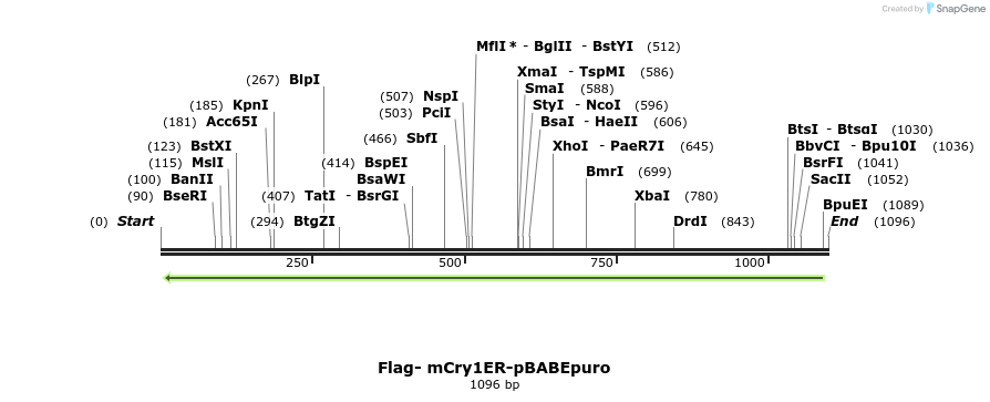 102583_map