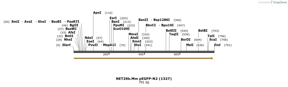 102598_map