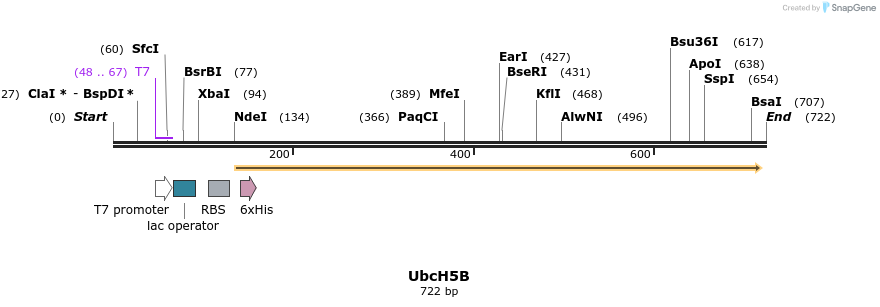 102602_map