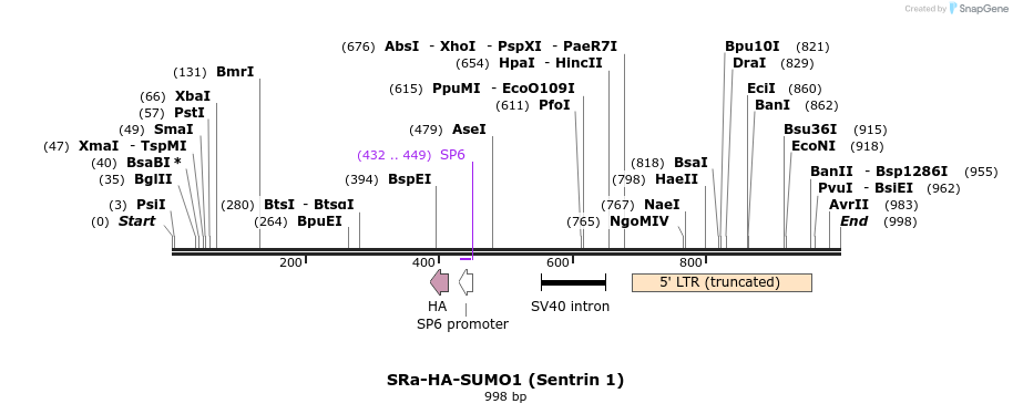 102605_map
