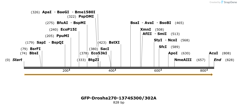102622_map