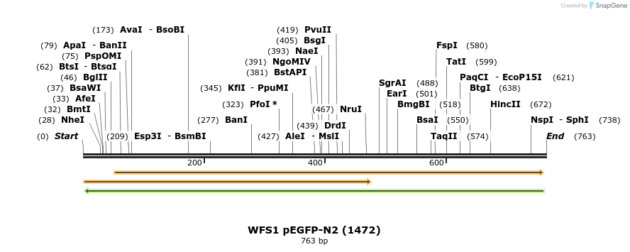 102624_map