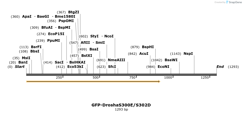 102637_map