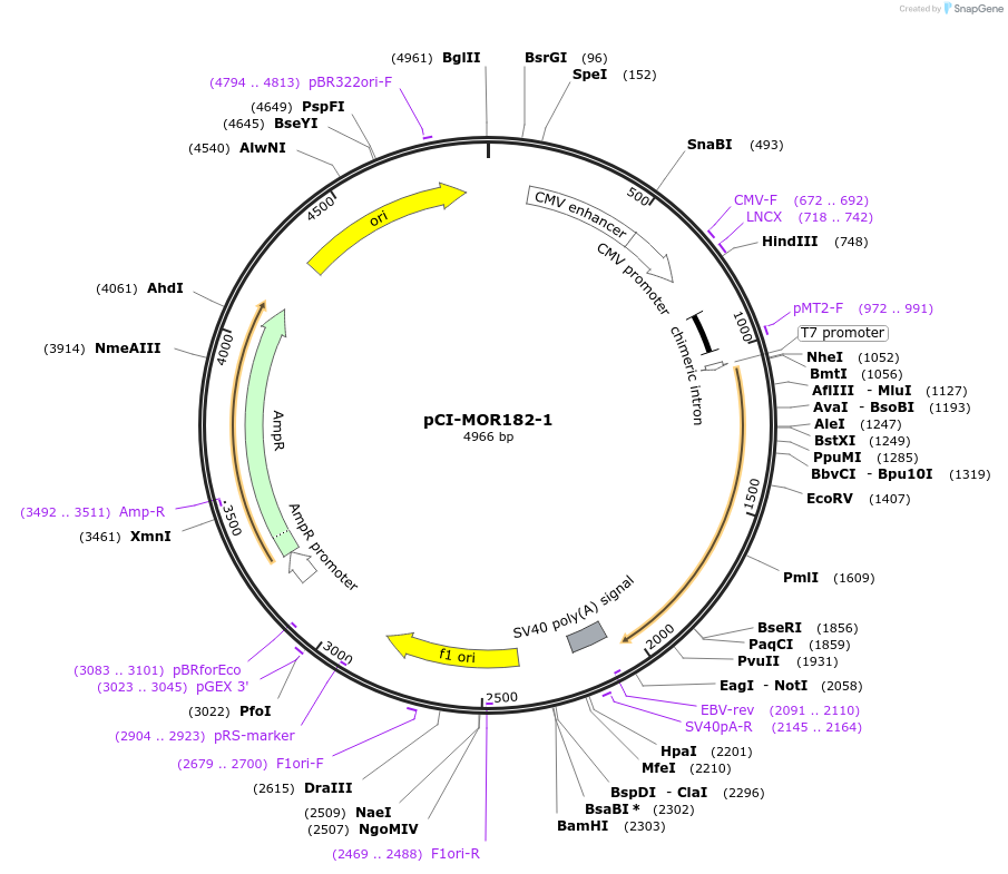 10264_map