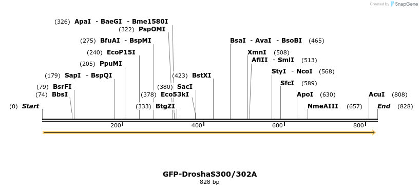 102641_map