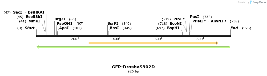 102644_map