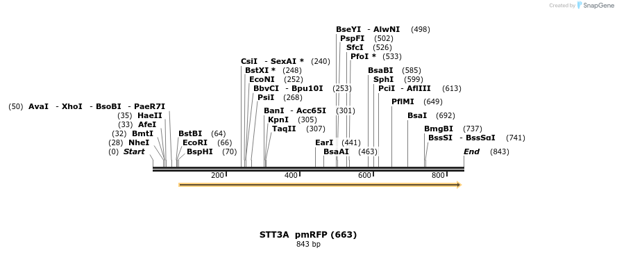 102646_map