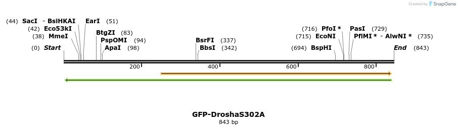 102647_map