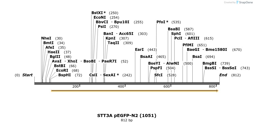 102649_map