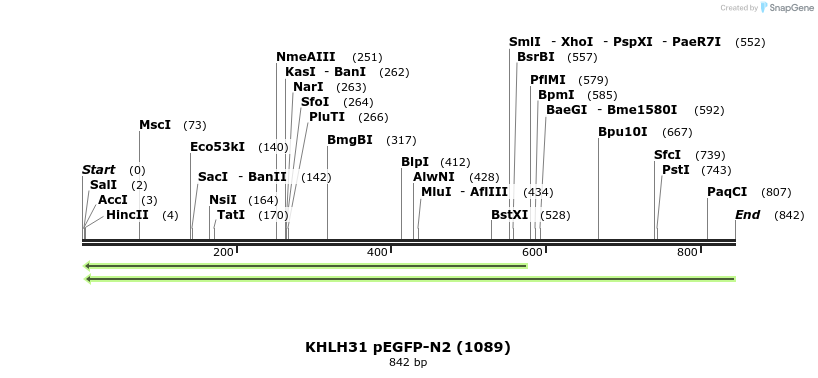 102662_map